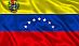 Venezuelan Flag